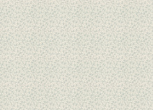 Rasch Novella 983104